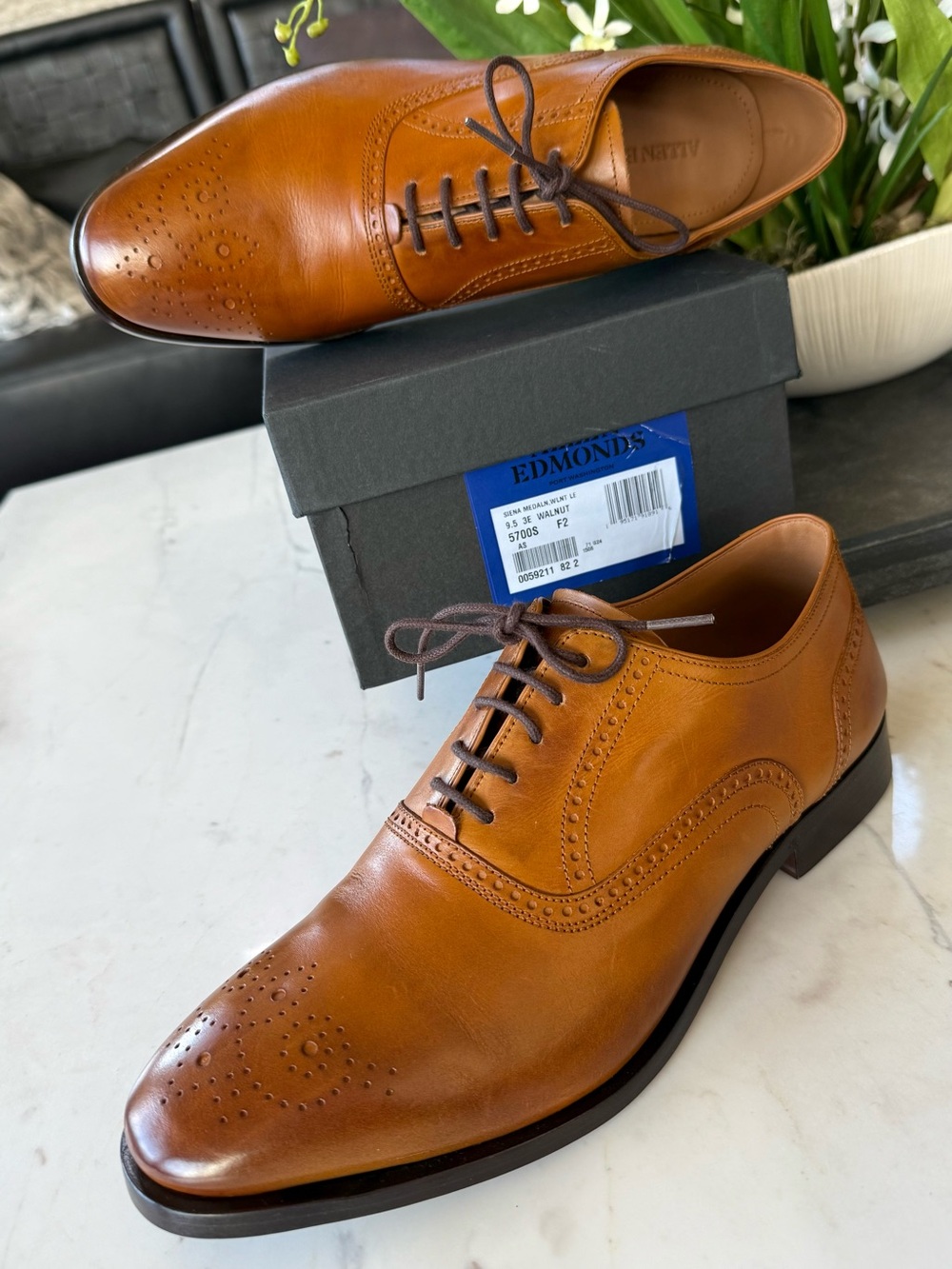New Allen Edmonds Siena Medallion Oxford Dress Shoe Walnut Leather
